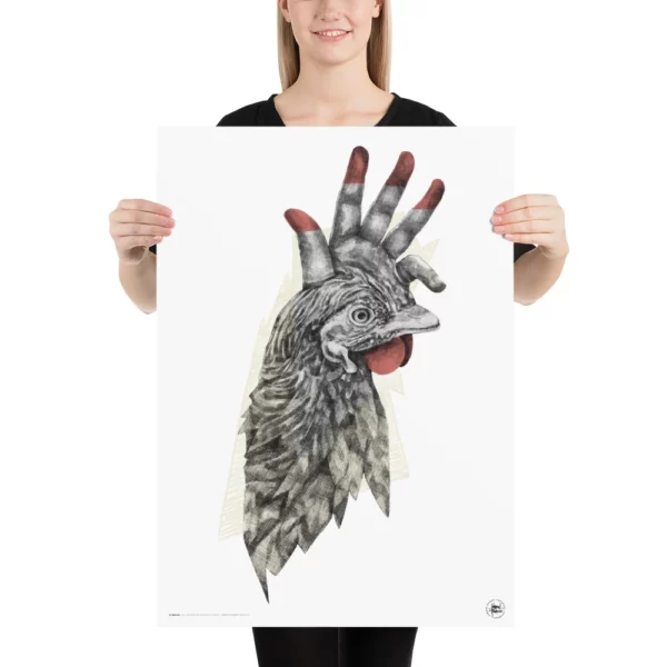 Il gallo - immagine 2