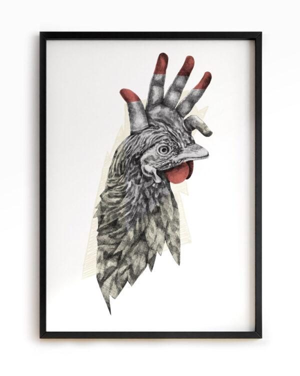 Il gallo