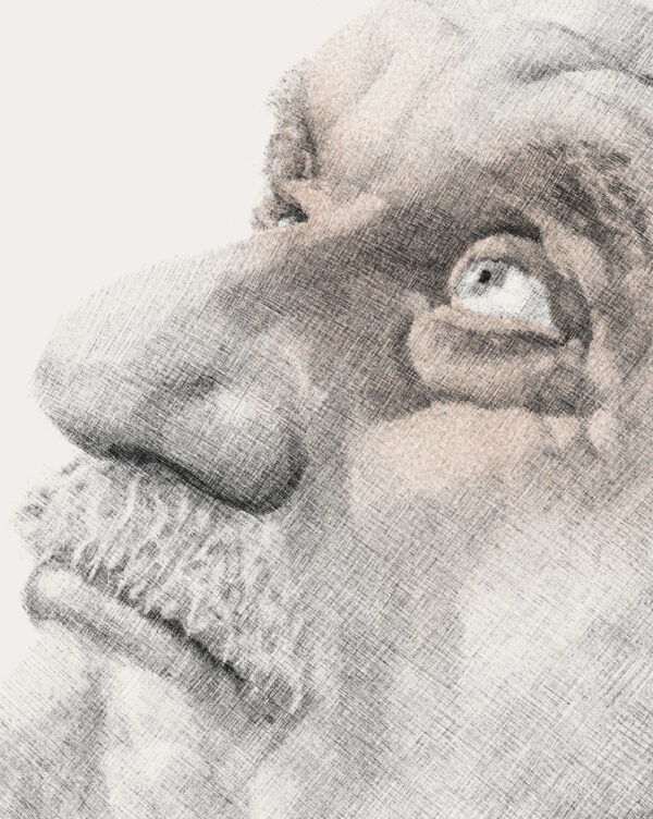 Paolo Conte - immagine 2